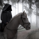 Image for article titled Cloaked Man On White Steed Sick Of People Asking Him For Tidings From The North